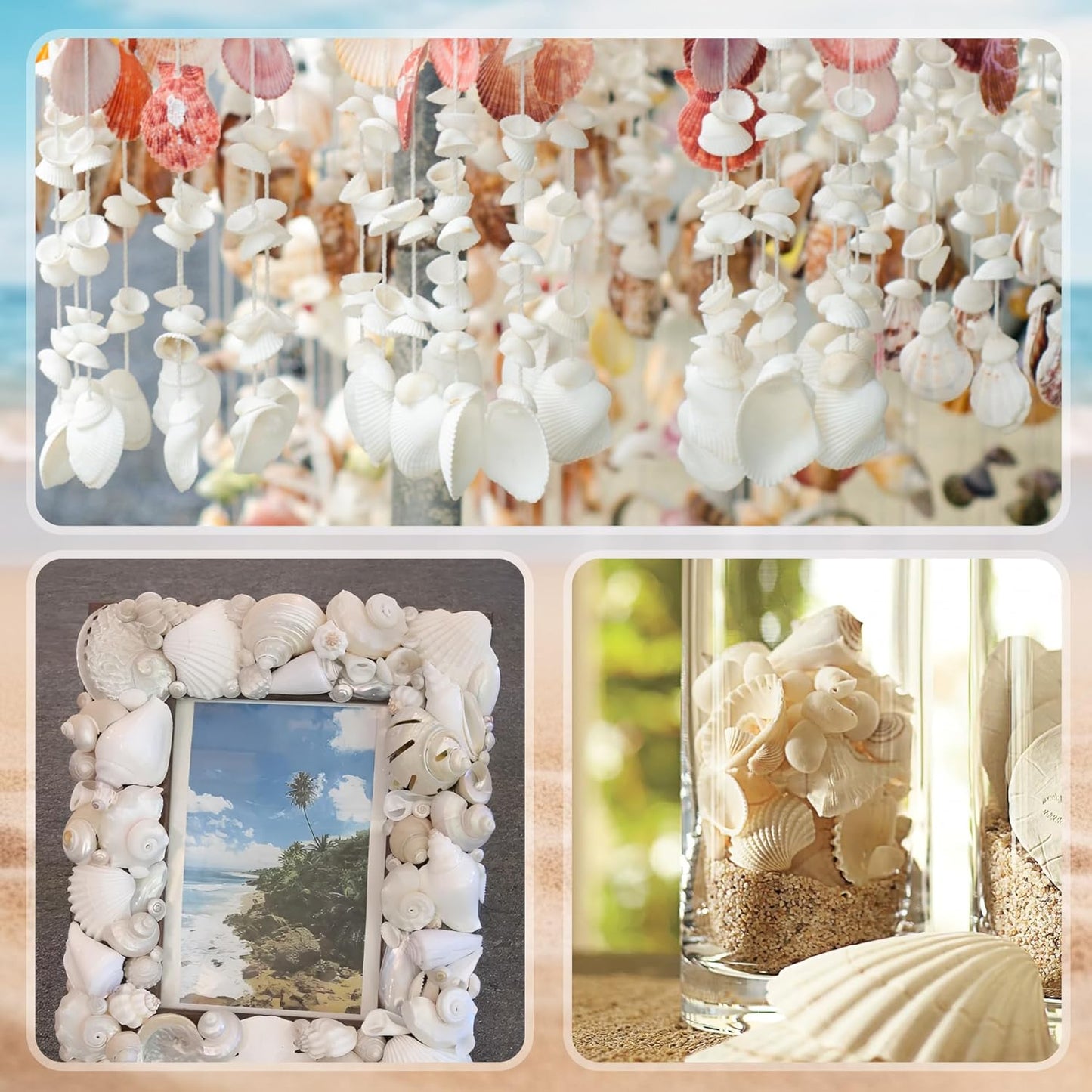 Silver White Sea Shell Mixed Ocean Shells Set, 1.2"-2.6" Various Sizes Natural Seashell & Starfish for Beach Themed Decor, DIY Crafts, Vase Fillers, Fish Tank, Home, Wedding & Party Decoration