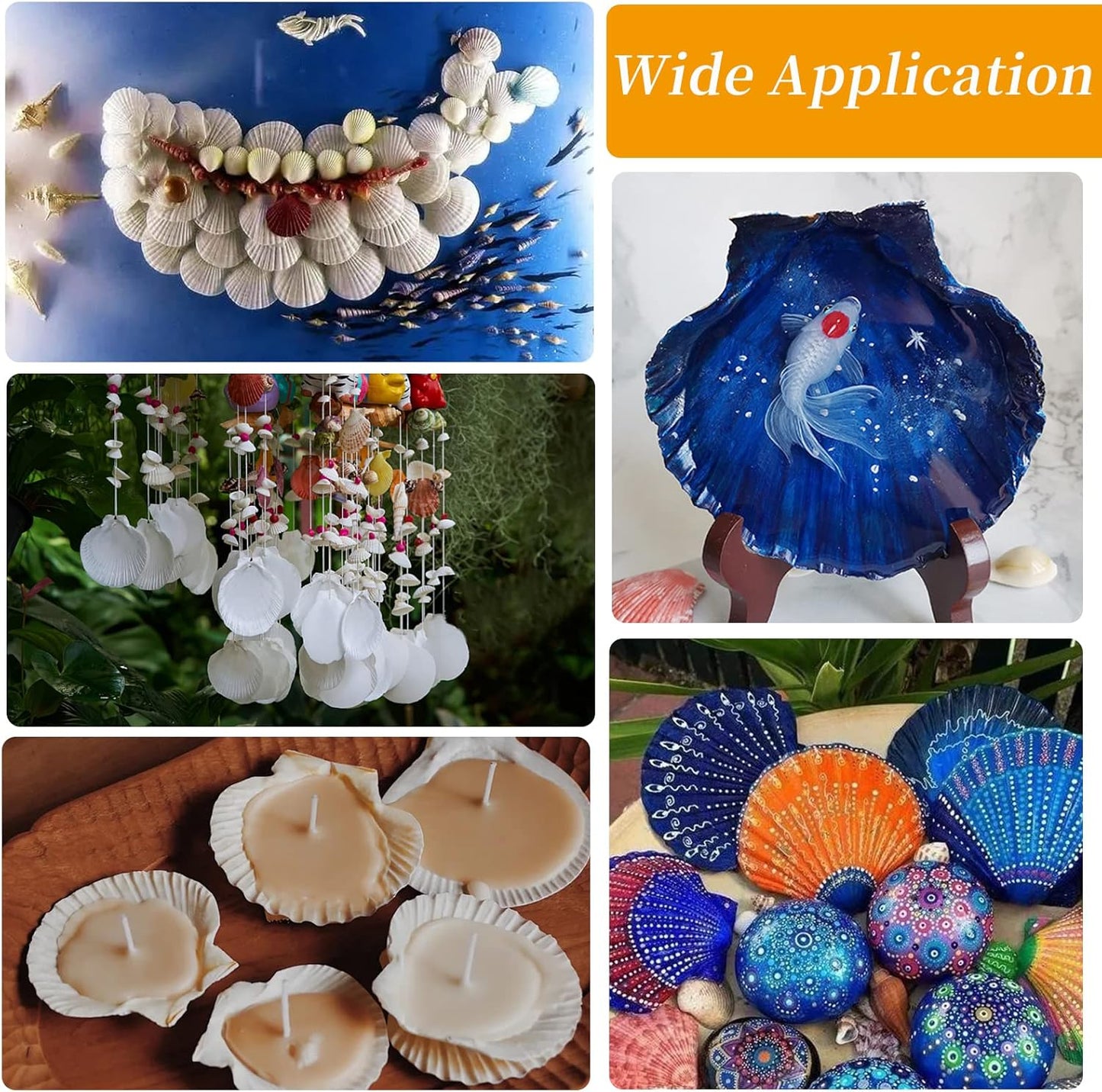 30PCS Natural Scallop Shells White Sea Shells for Decorating from Sea Beach Real Seashells for DIY Craft Painting Ocean Themed Party Wedding 2''-3''
