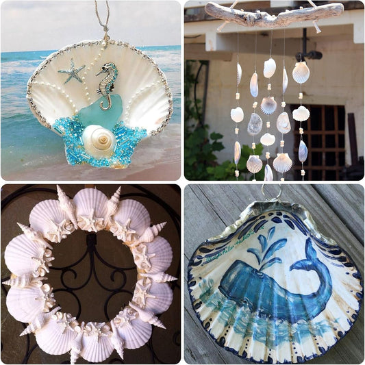 Create Unique Seashell Crafts – Customize Your Own DIY Masterpieces!