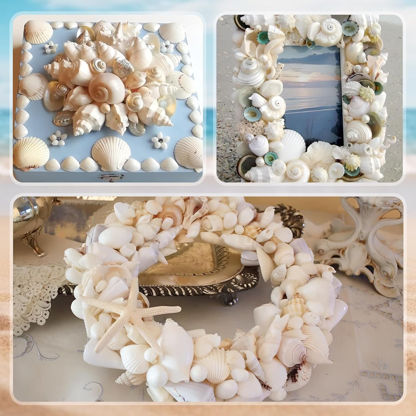 Silver White Sea Shell Mixed Ocean Shells Set, 1.2"-2.6" Various Sizes Natural Seashell & Starfish for Beach Themed Decor, DIY Crafts, Vase Fillers, Fish Tank, Home, Wedding & Party Decoration
